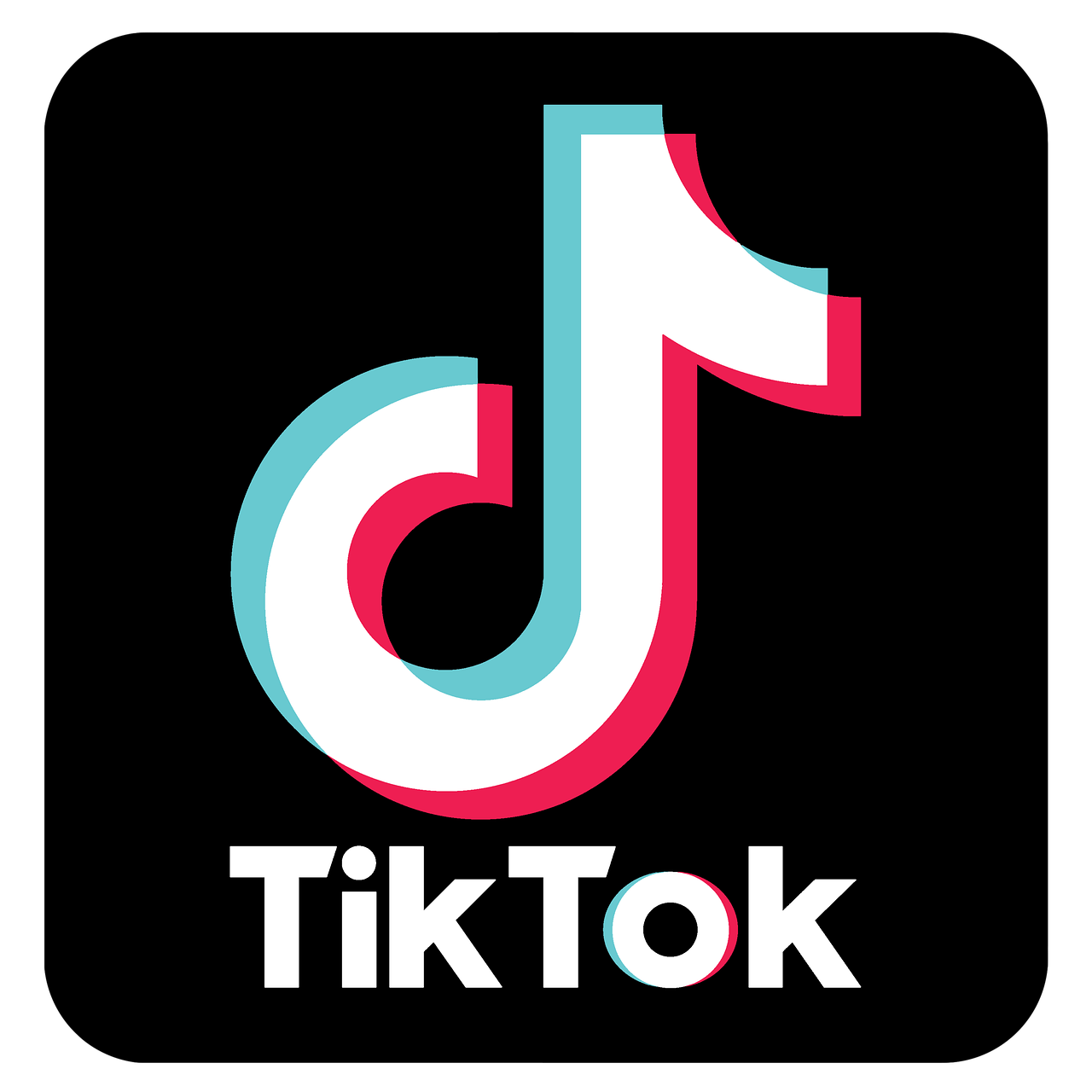Tik Tok Logo